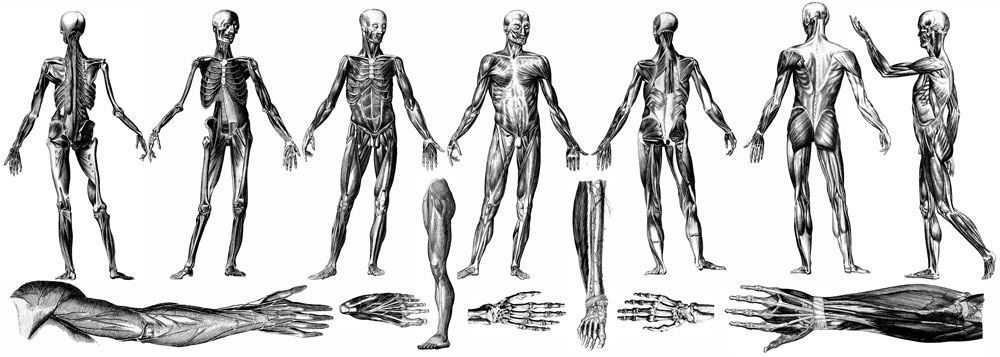 Tattoo pain chart : r/coolguides