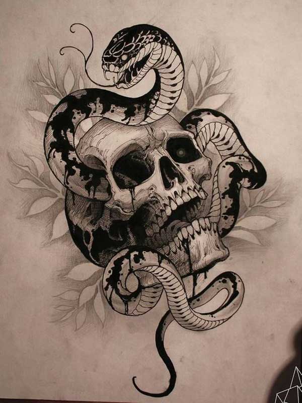 Skull and Snake art